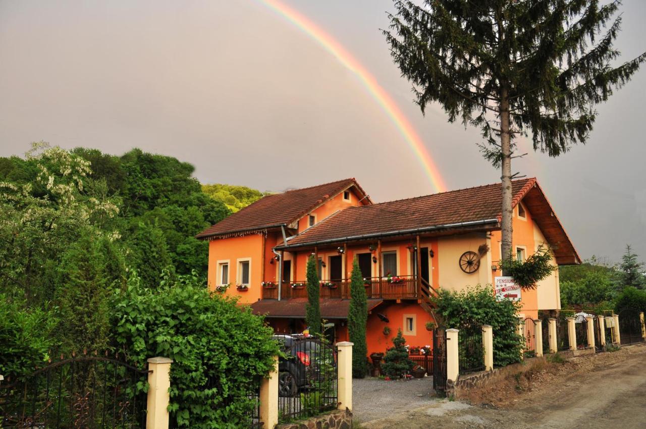 Pensiunea Ana Cristina Sighisoara Exterior photo